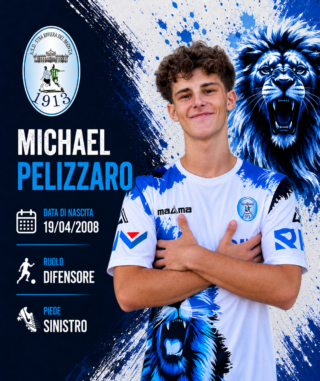 Michael_Pelizzaro_Cards